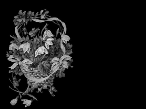 bonjour  et  bonne journee