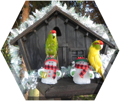 bonne journée , bonjour , bisous, amitie