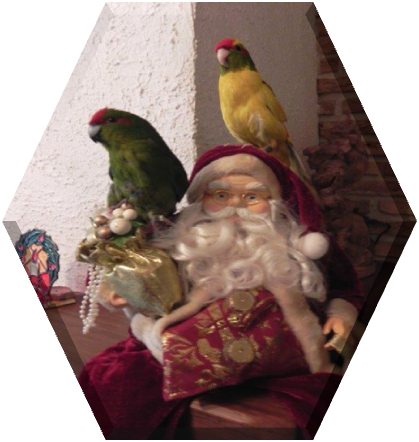 bonne journée , bonjour , bisous, amitie