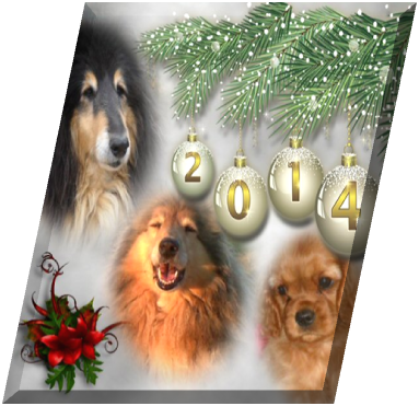 bonne journée , bonjour , bisous, amitie