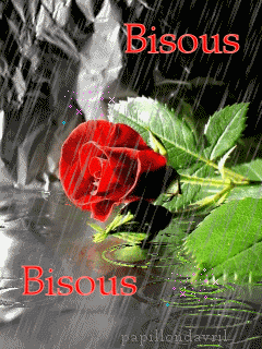 bisous