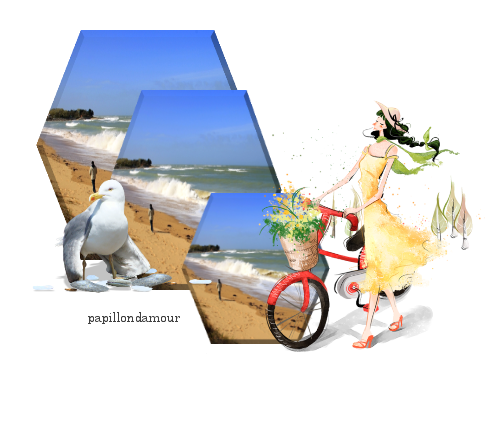 bonjour et  bonne journée 