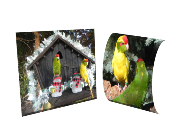 bonne journée , bonjour , bisous, amitie