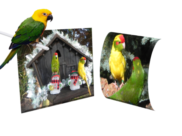 bonne journée , bonjour , bisous, amitie