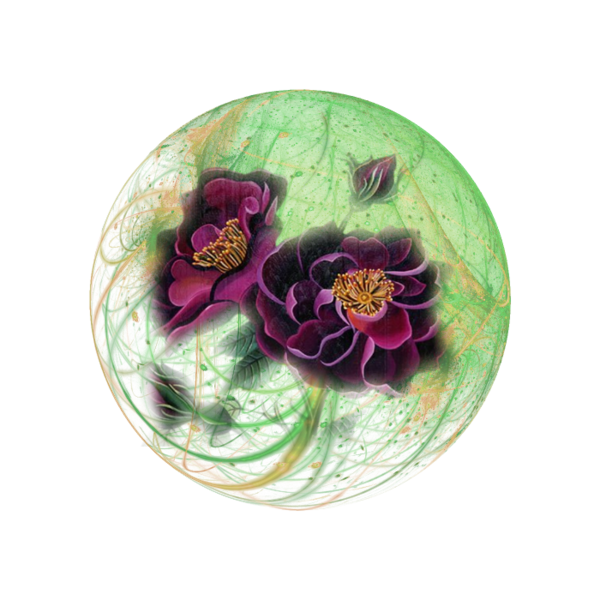 bonjour et  bonne journée 