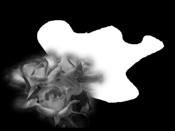 bonjour  et  bonne journee