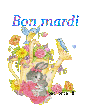 bonjour et  bonne journée