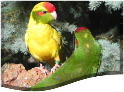 bonne journée , bonjour , bisous, amitie