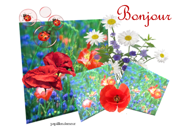 Rencontre 33820