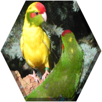 bonne journée , bonjour , bisous, amitie